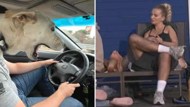 17 fotos que redefiniram o conceito da hora perfeita 29