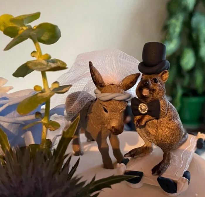 21 ideias criativas para o topo do bolo de casamento 13