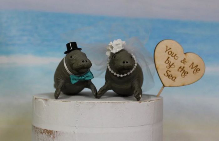 21 ideias criativas para o topo do bolo de casamento 14