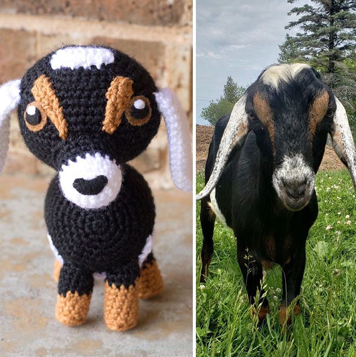 Meu hobby é fazer amigurumi com base nos animais de estimação das pessoas (29 fotos) 5