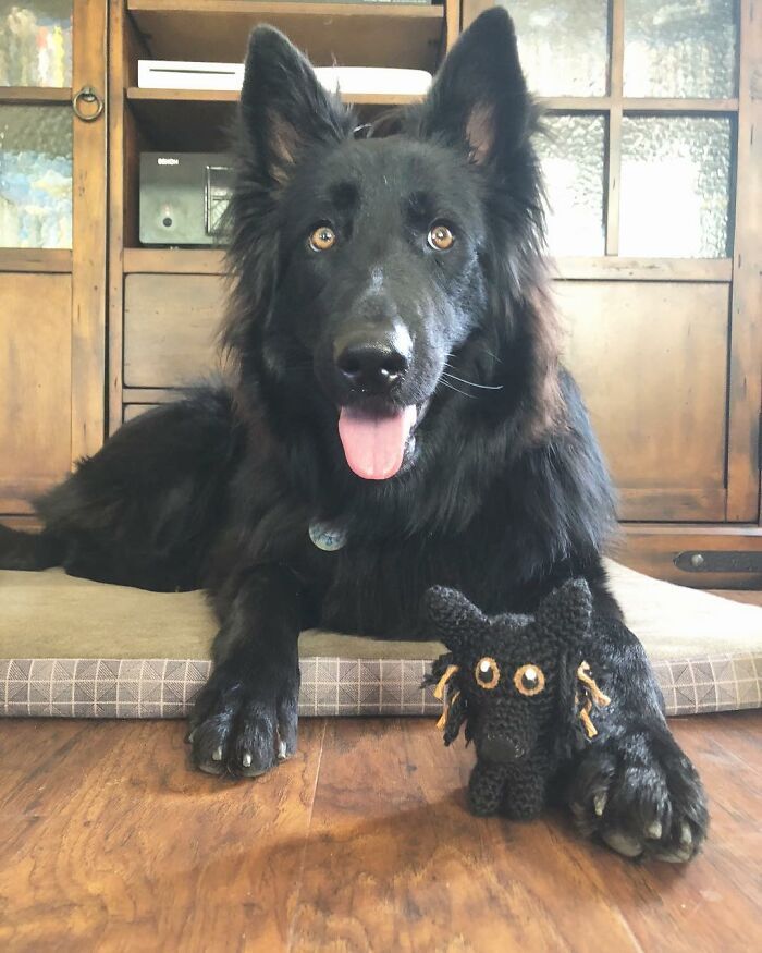 Meu hobby é fazer amigurumi com base nos animais de estimação das pessoas (29 fotos) 8