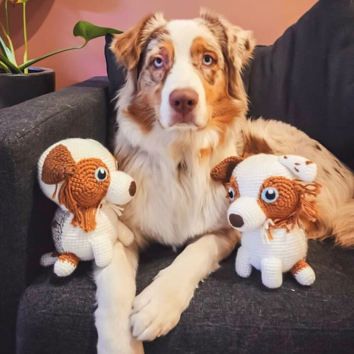 Meu hobby é fazer amigurumi com base nos animais de estimação das pessoas (29 fotos) 13