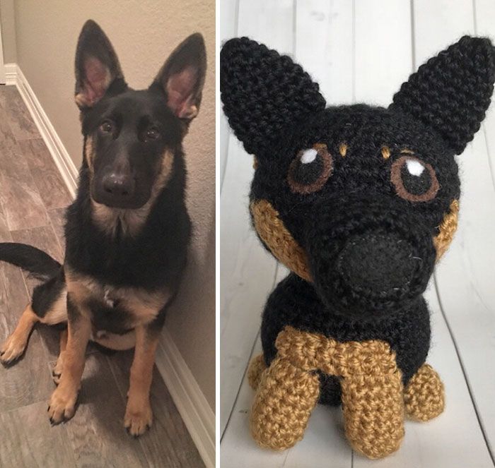 Meu hobby é fazer amigurumi com base nos animais de estimação das pessoas (29 fotos) 19