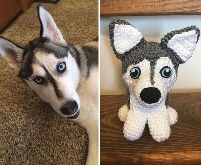 Meu hobby é fazer amigurumi com base nos animais de estimação das pessoas (29 fotos) 23