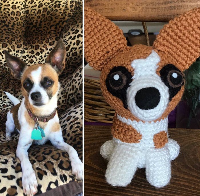 Meu hobby é fazer amigurumi com base nos animais de estimação das pessoas (29 fotos) 24