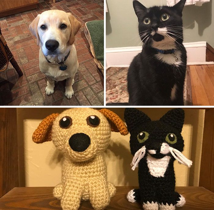 Meu hobby é fazer amigurumi com base nos animais de estimação das pessoas (29 fotos) 27