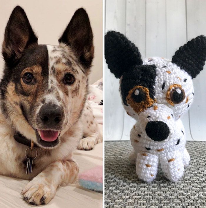 Meu hobby é fazer amigurumi com base nos animais de estimação das pessoas (29 fotos) 29