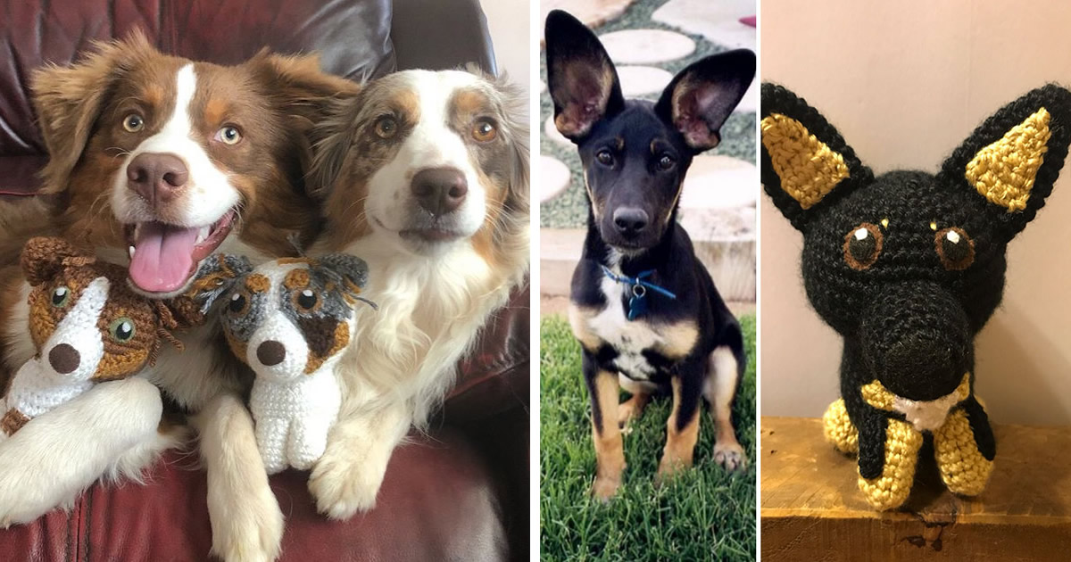 Meu hobby é fazer amigurumi com base nos animais de estimação das pessoas (29 fotos)