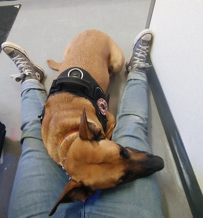 15 momentos que deixaram nossos corações parados 1