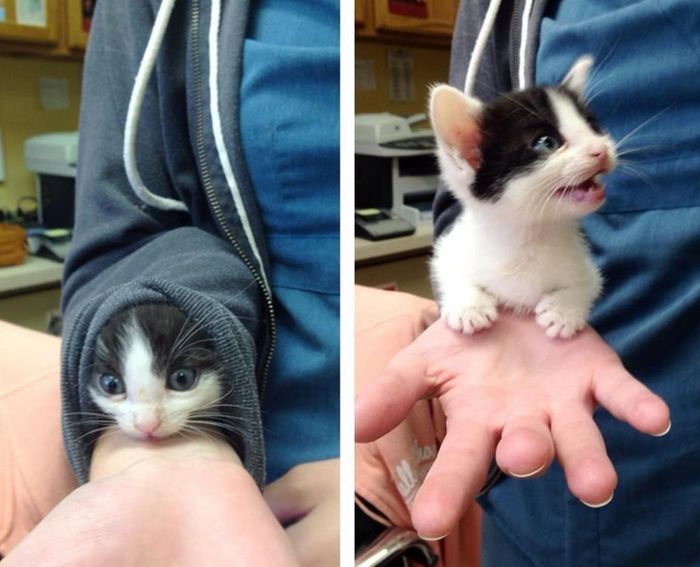 15 momentos que deixaram nossos corações parados 4