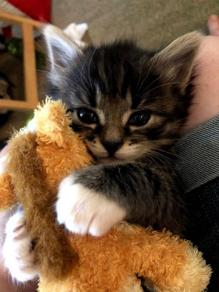 15 momentos que deixaram nossos corações parados 5