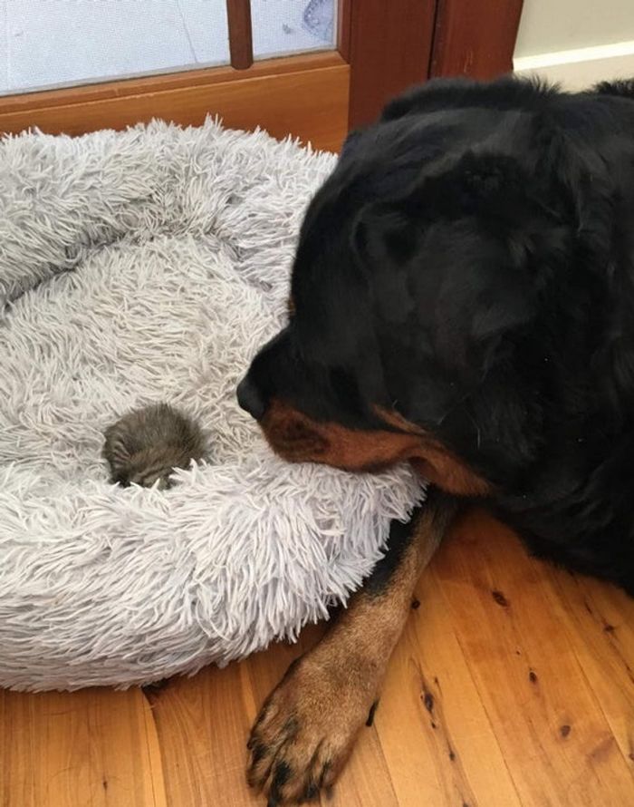 15 momentos que deixaram nossos corações parados 6