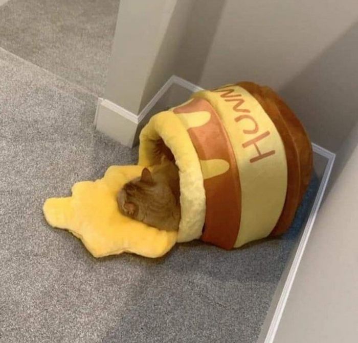 15 momentos que deixaram nossos corações parados 9