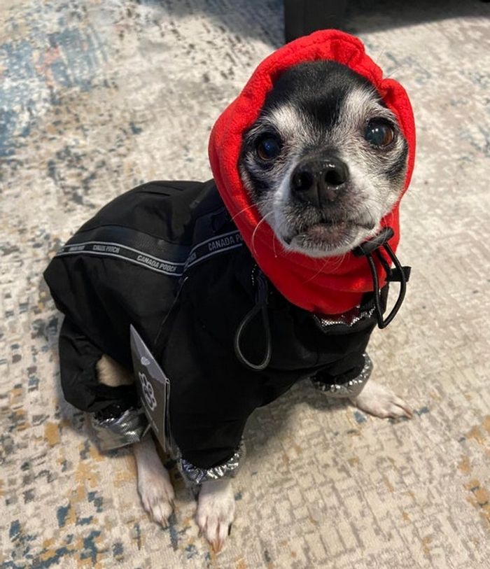 15 momentos que deixaram nossos corações parados 10