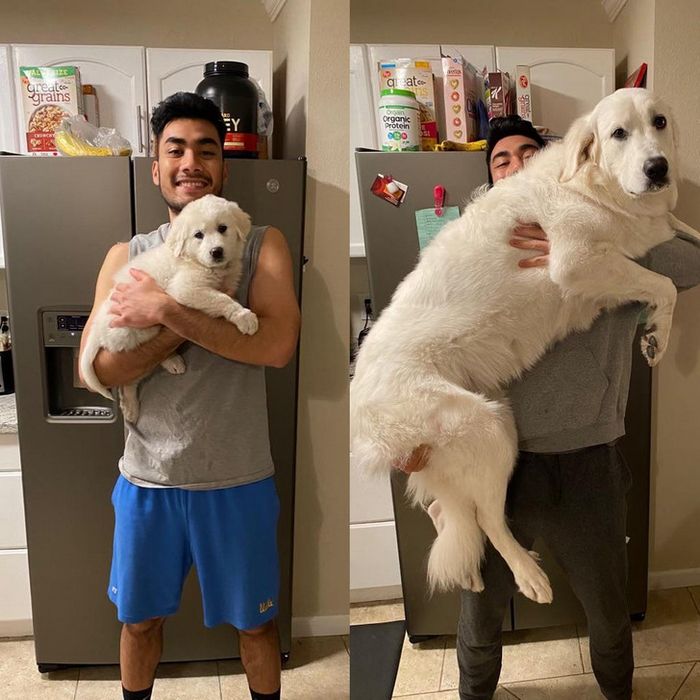 15 momentos que deixaram nossos corações parados 13