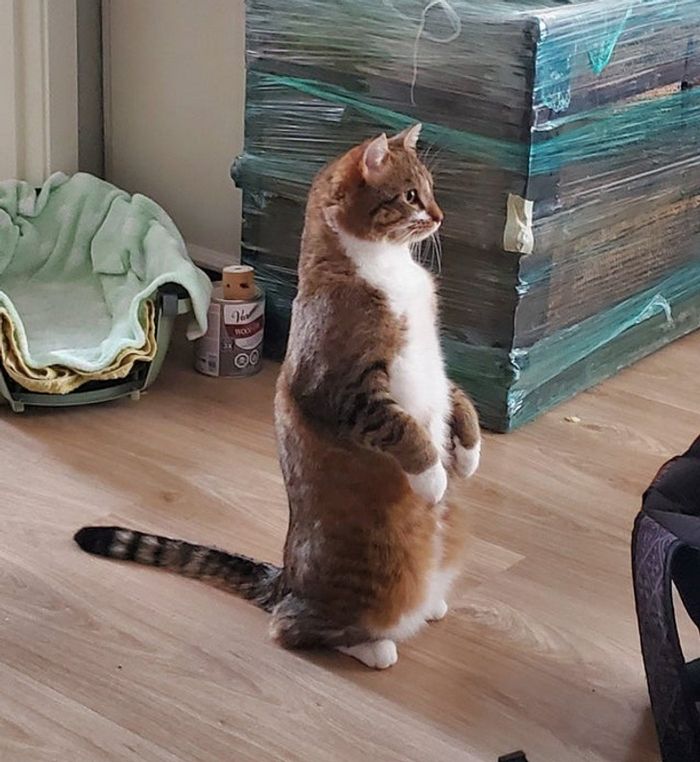 15 momentos que deixaram nossos corações parados 14