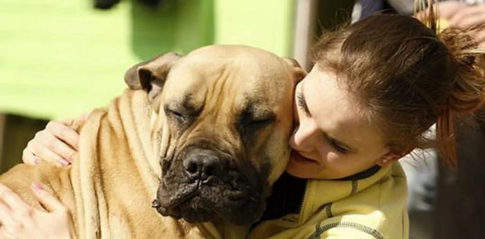 Pesquisa mostra que pessoas que falam com animais de estimação são mais inteligentes 2