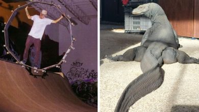 16 pessoas que tiraram fotos de coisas muito engraçadas 6