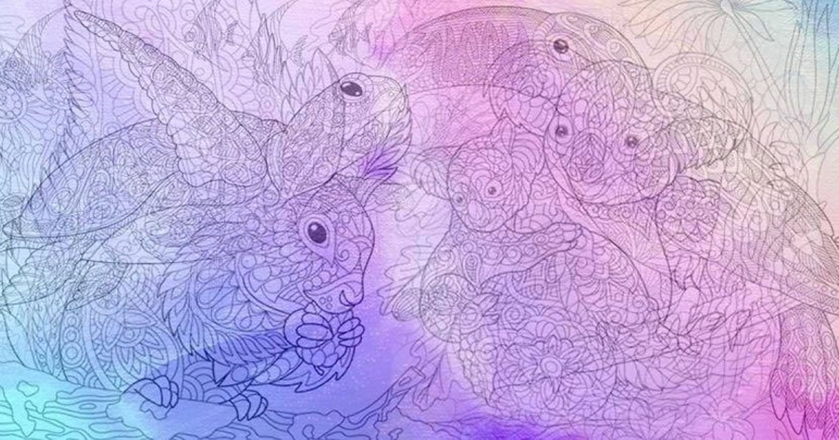 Teste de personalidade mudará a forma como você se enxerga: Que animal você vê primeiro?