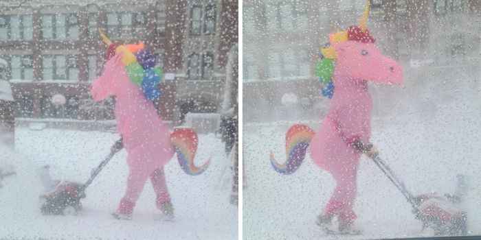 18 vezes em que as pessoas foram criativas da maneira mais original 18