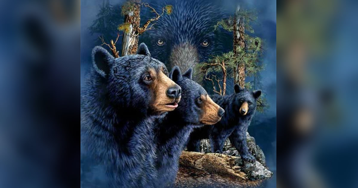 A paciência faz parte do seu caráter? Quantos ursos você consegue enxergar? 2