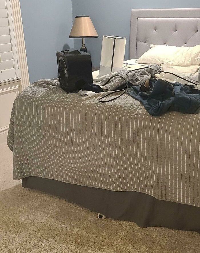 42 animais de estimação que pensavam que estavam escondidos, mas na verdade não estavam 8