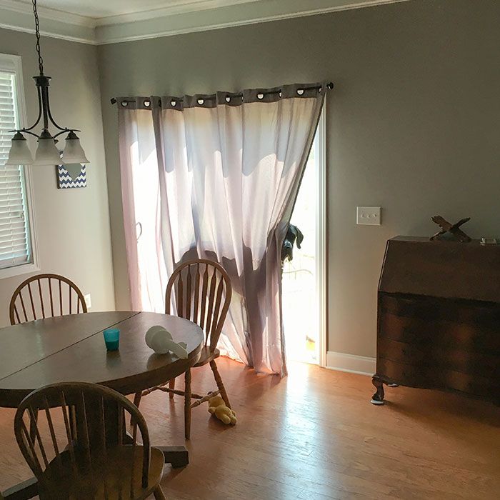 42 animais de estimação que pensavam que estavam escondidos, mas na verdade não estavam 14