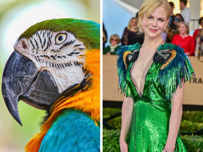 15 celebridades com roupas inspiradas em animais para provar que a natureza é a melhor fonte de inspiração 1