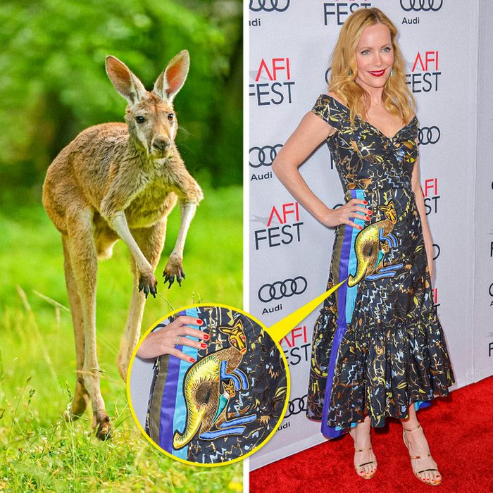 15 celebridades com roupas inspiradas em animais para provar que a natureza é a melhor fonte de inspiração 3