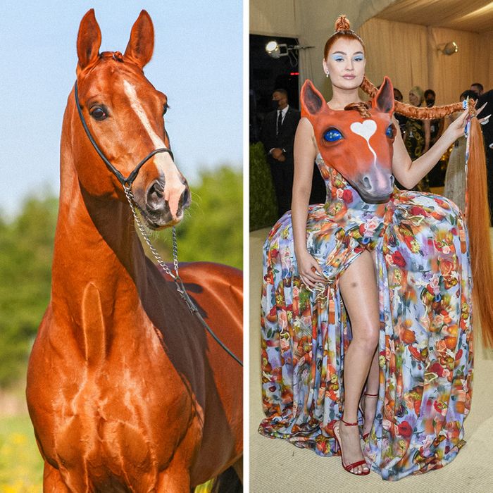 15 celebridades com roupas inspiradas em animais para provar que a natureza é a melhor fonte de inspiração 10