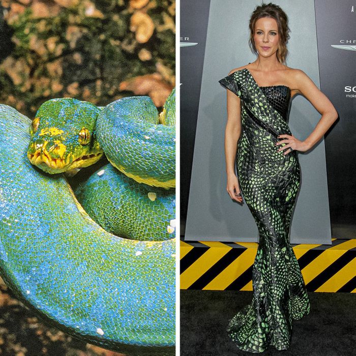 15 celebridades com roupas inspiradas em animais para provar que a natureza é a melhor fonte de inspiração 11