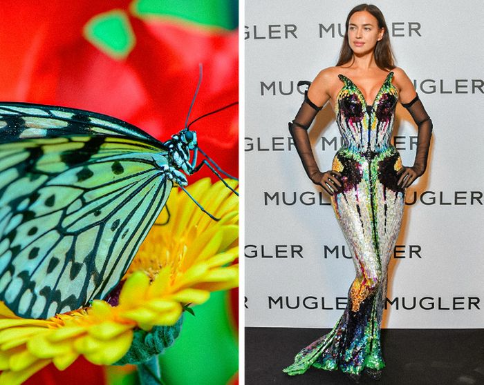 15 celebridades com roupas inspiradas em animais para provar que a natureza é a melhor fonte de inspiração 12