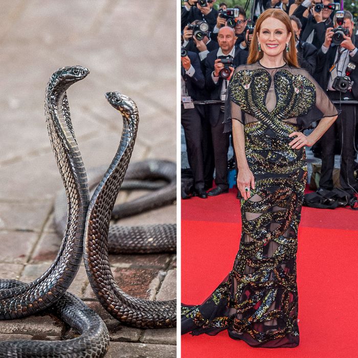 15 celebridades com roupas inspiradas em animais para provar que a natureza é a melhor fonte de inspiração 14