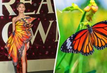 15 celebridades com roupas inspiradas em animais para provar que a natureza é a melhor fonte de inspiração 7