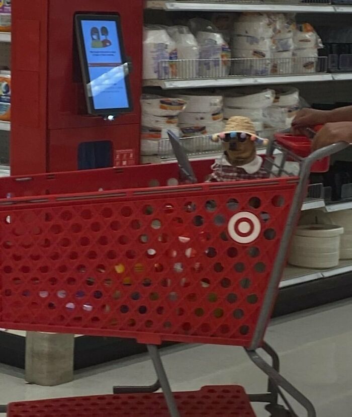 35 fotos de animais mais absurdas que simplesmente não podem ser explicadas 27