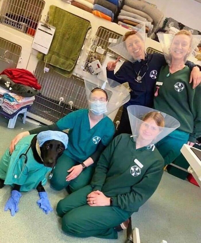 35 fotos de animais mais absurdas que simplesmente não podem ser explicadas 32