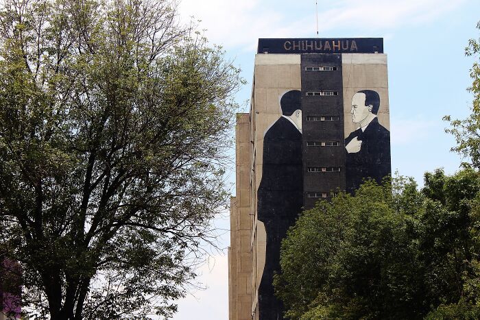 37 fotos de arte urbana interessante de rua mexicanas 30