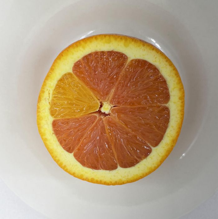 18 fotos que levantam instantaneamente muitas perguntas 3