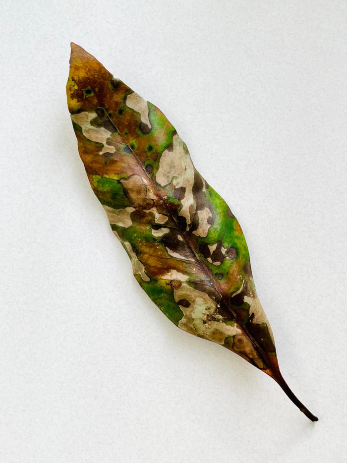 18 fotos que levantam instantaneamente muitas perguntas 13