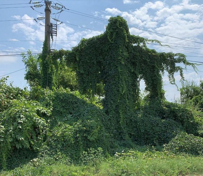 18 fotos que levantam instantaneamente muitas perguntas 14