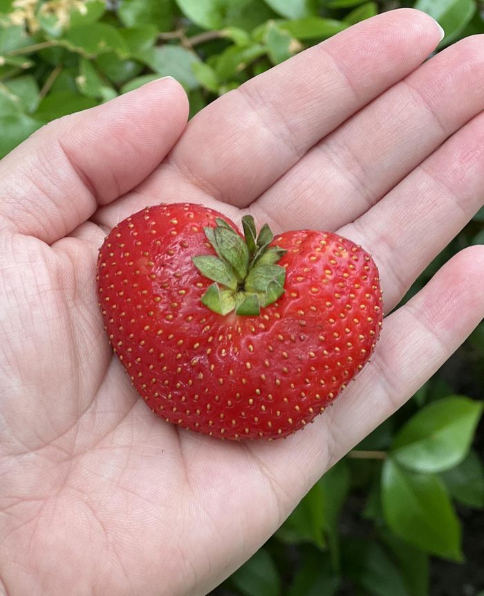 18 fotos que levantam instantaneamente muitas perguntas 15