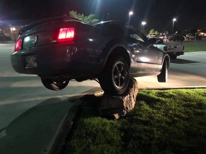 15 fotos que mostram momentos inesperados que acontecem quando você menos espera 1