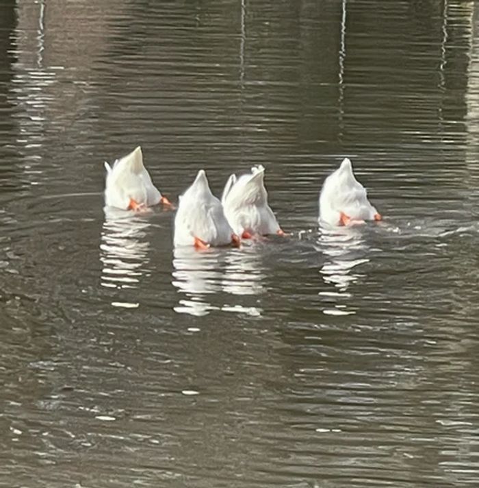 15 fotos que mostram momentos inesperados que acontecem quando você menos espera 2