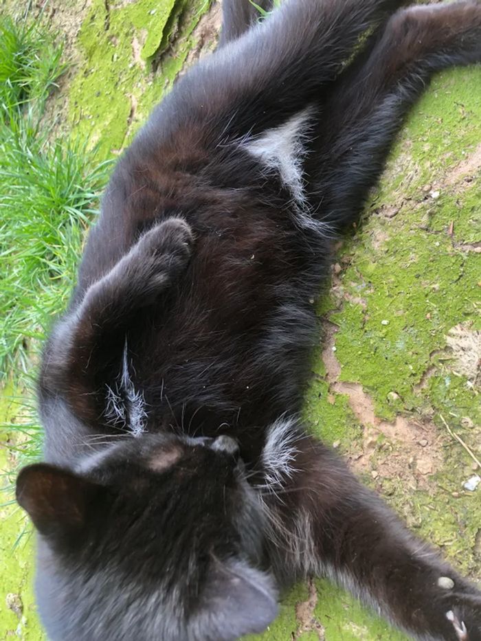 15 fotos que mostram momentos inesperados que acontecem quando você menos espera 4