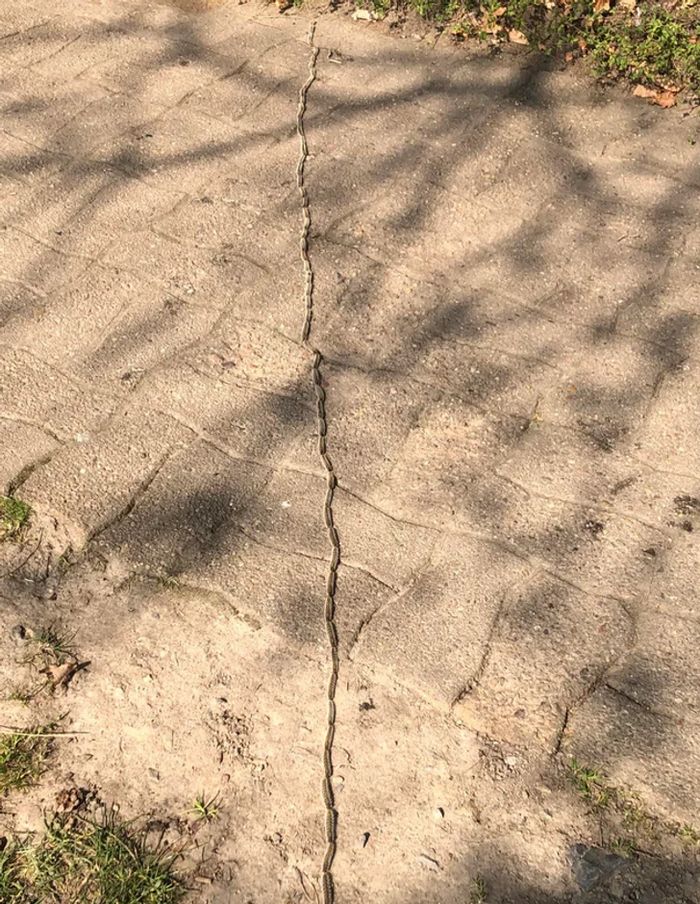 15 fotos que mostram momentos inesperados que acontecem quando você menos espera 5