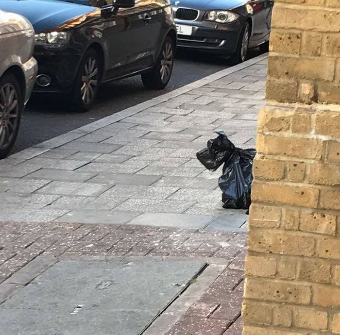 15 fotos que mostram momentos inesperados que acontecem quando você menos espera 13