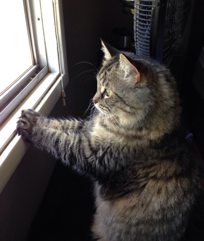 16 fotos que nos fizeram sorrir instantaneamente 4