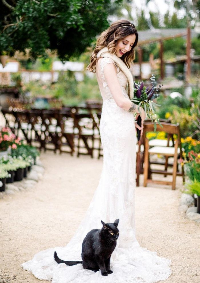 16 fotos que nos fizeram sorrir instantaneamente 9