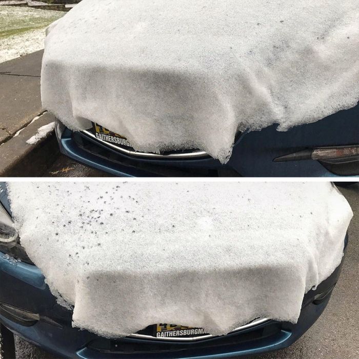 18 fotos que você não pode ver corretamente na primeira vez 13