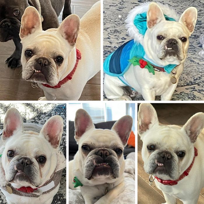 18 fotos que você não pode ver corretamente na primeira vez 14